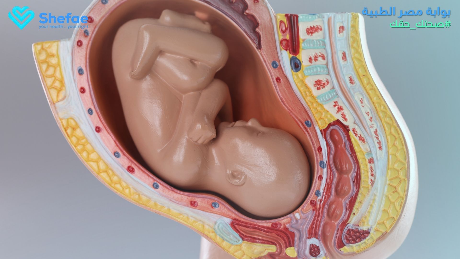 blogs tailwind section