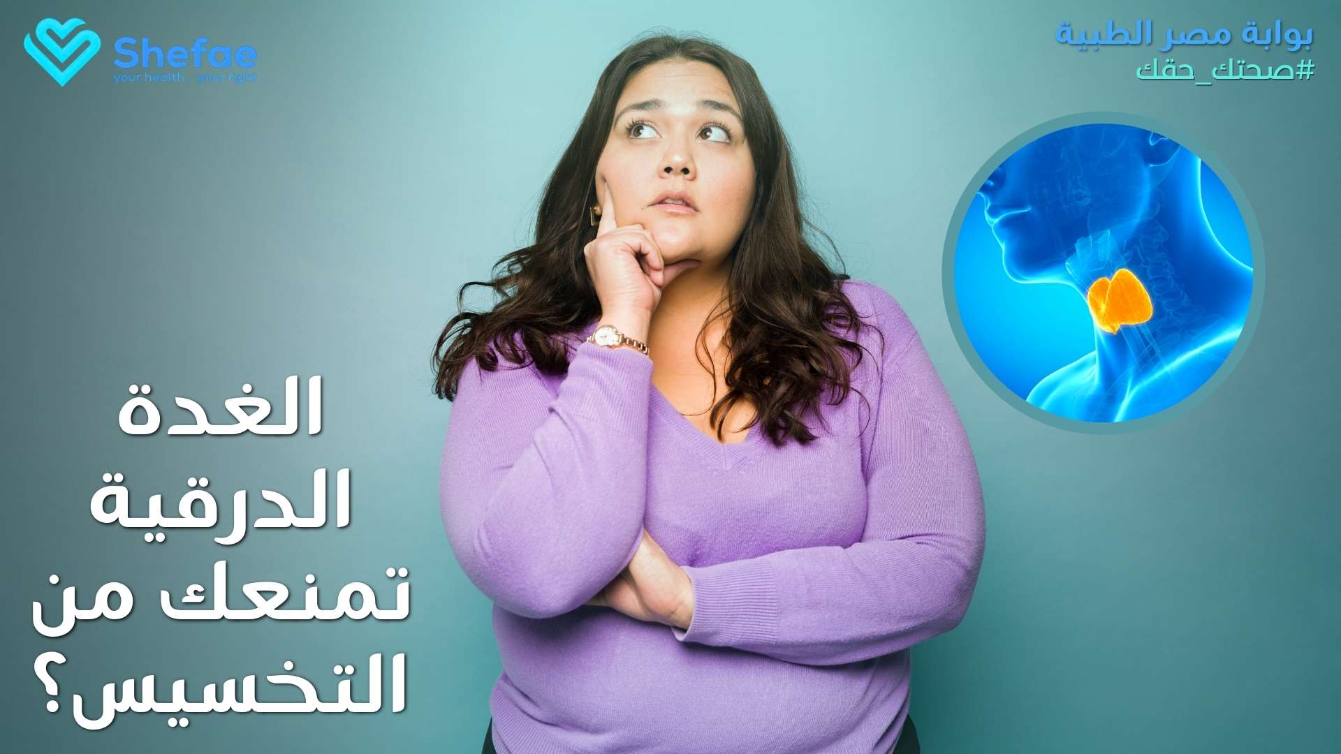 blogs tailwind section