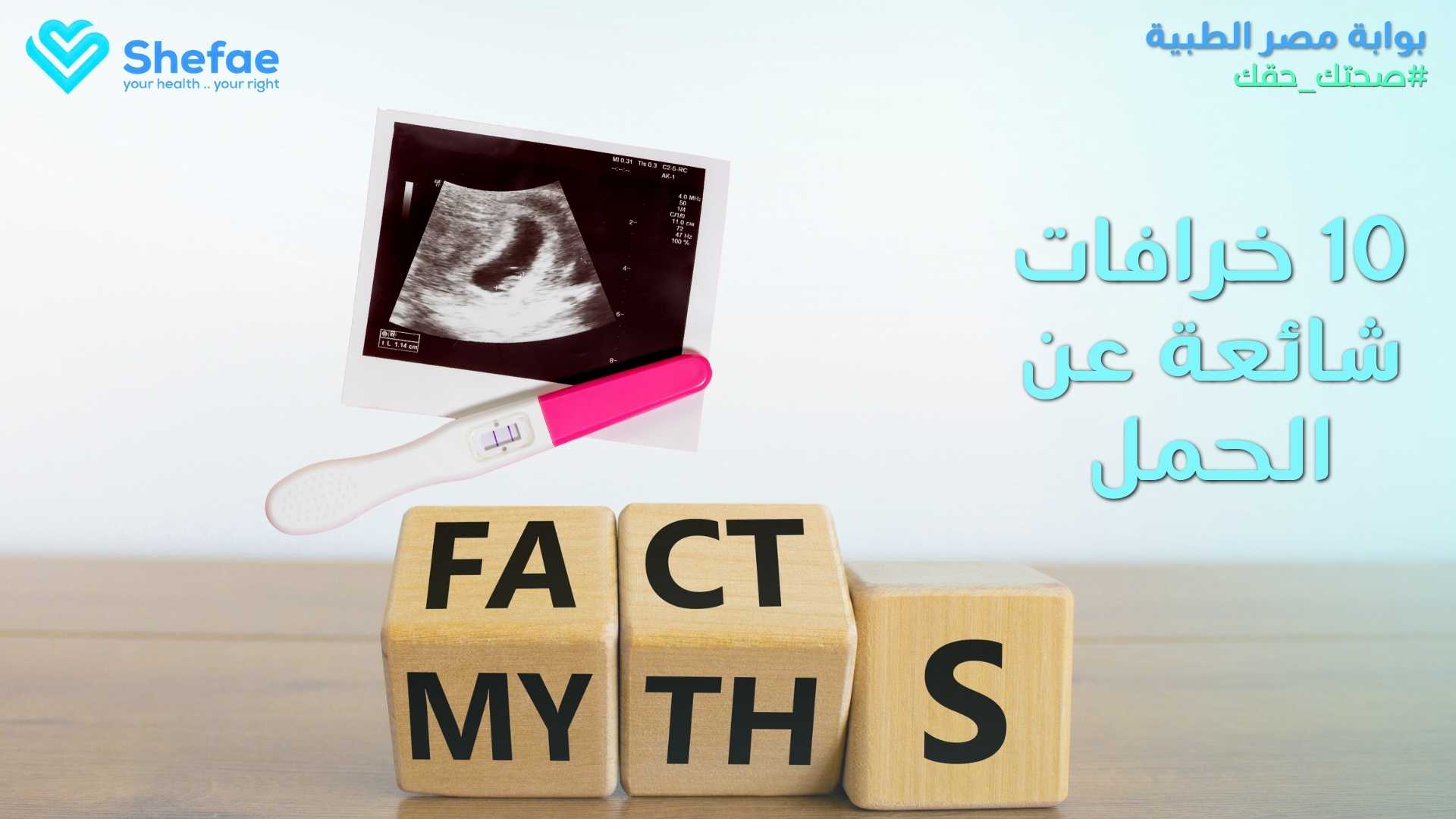 blogs tailwind section