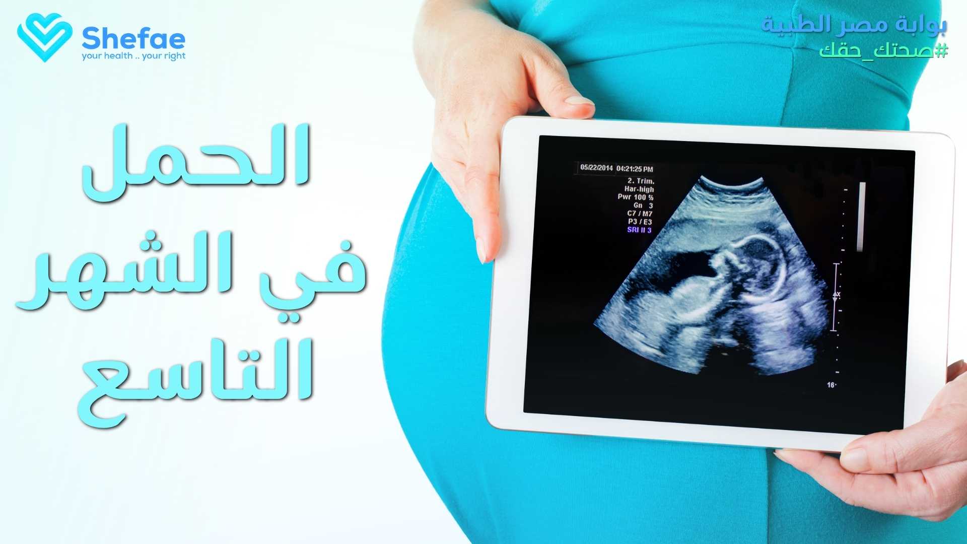 blogs tailwind section