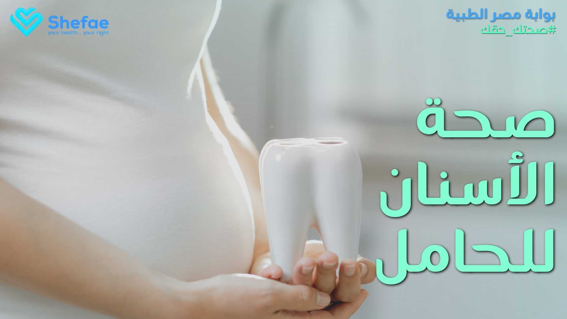 blogs tailwind section