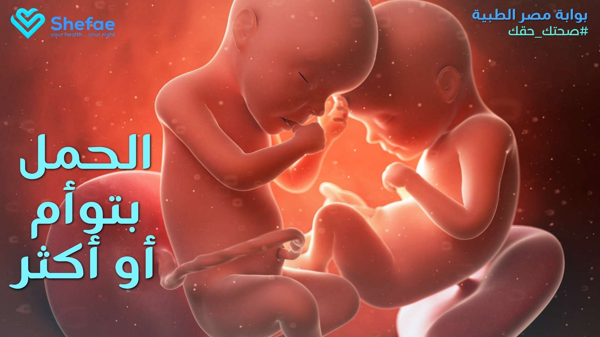 blogs tailwind section