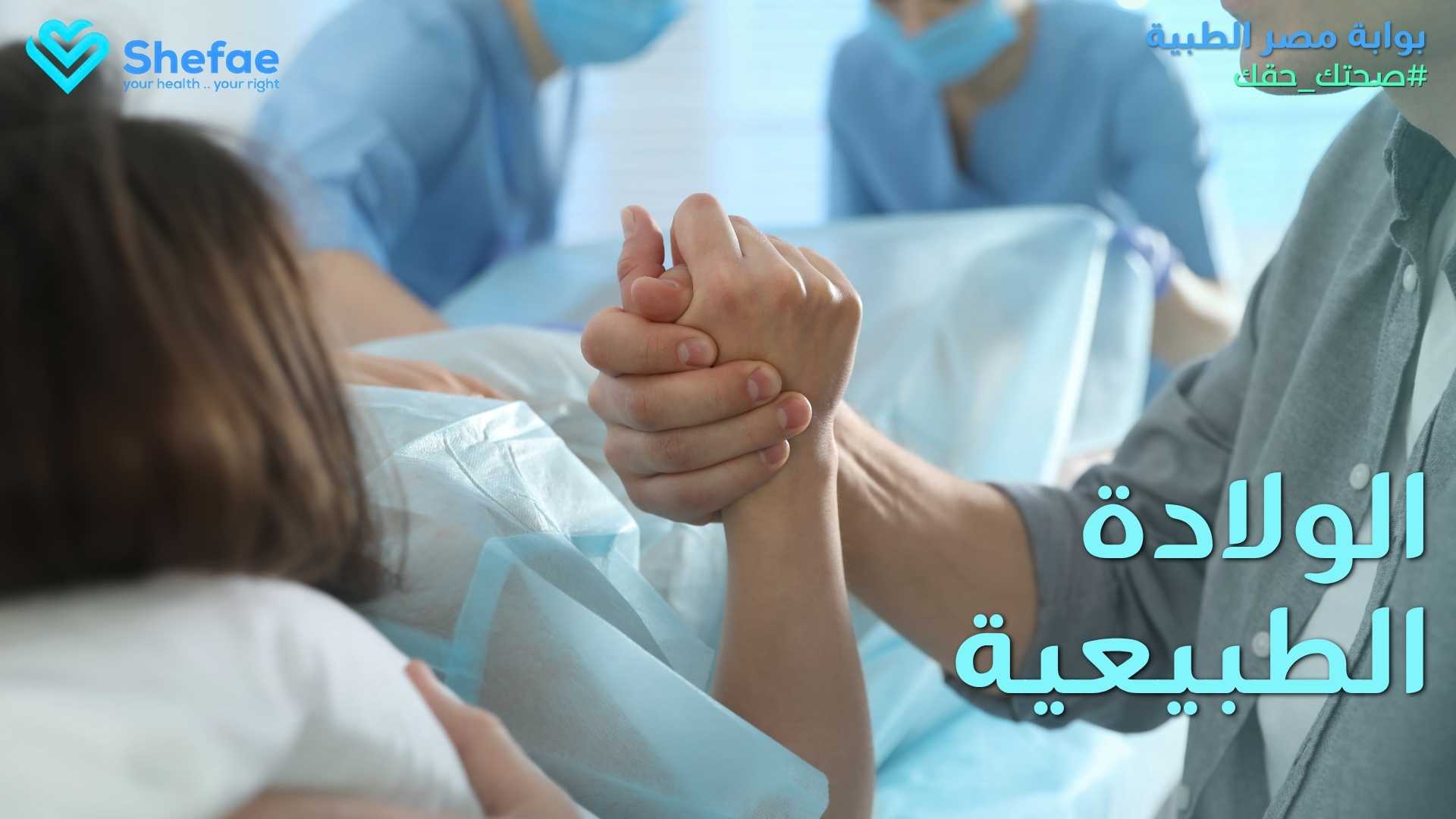 blogs tailwind section