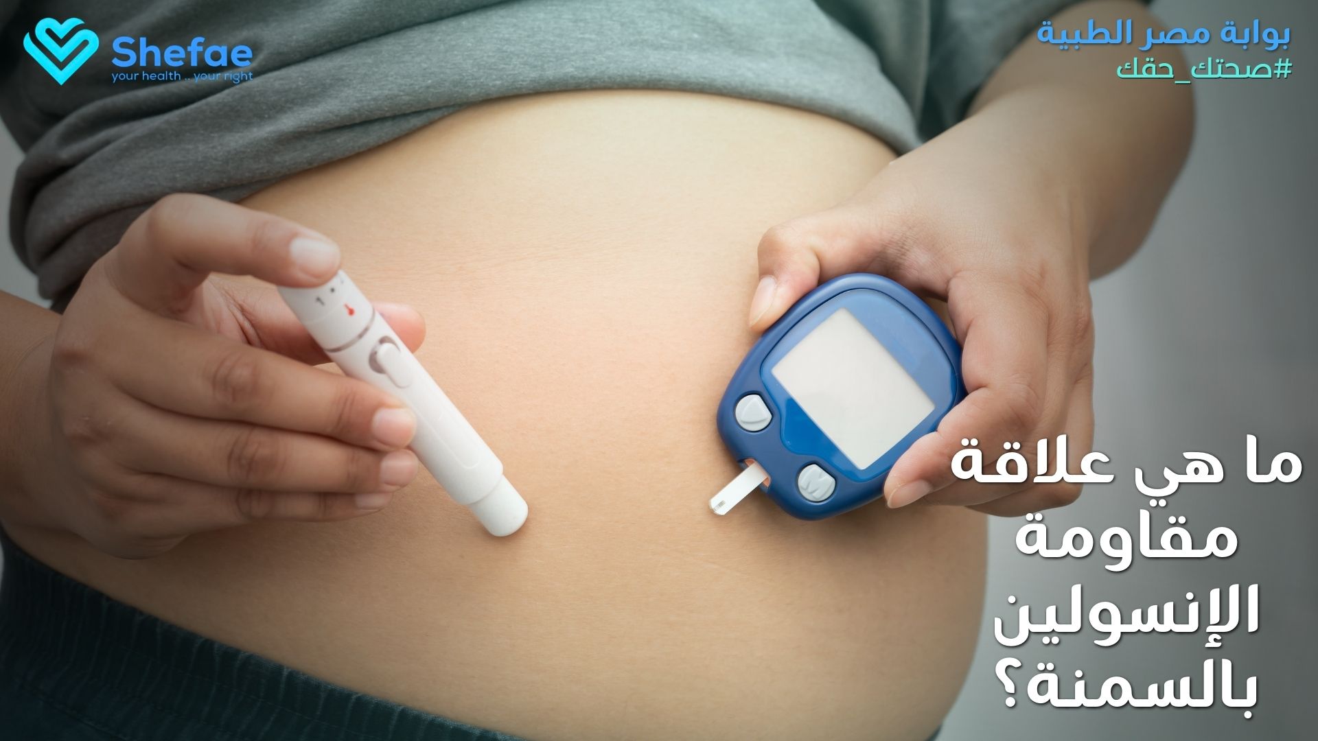 blogs tailwind section