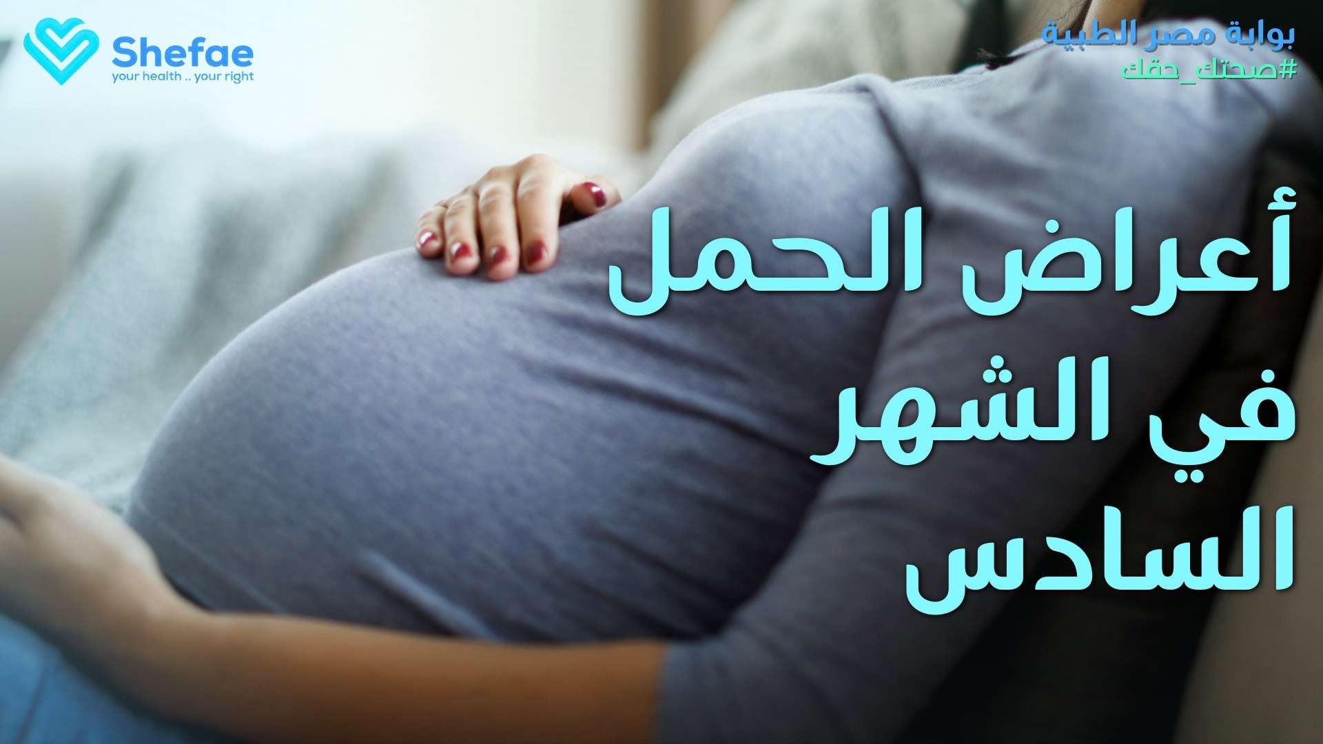 blogs tailwind section