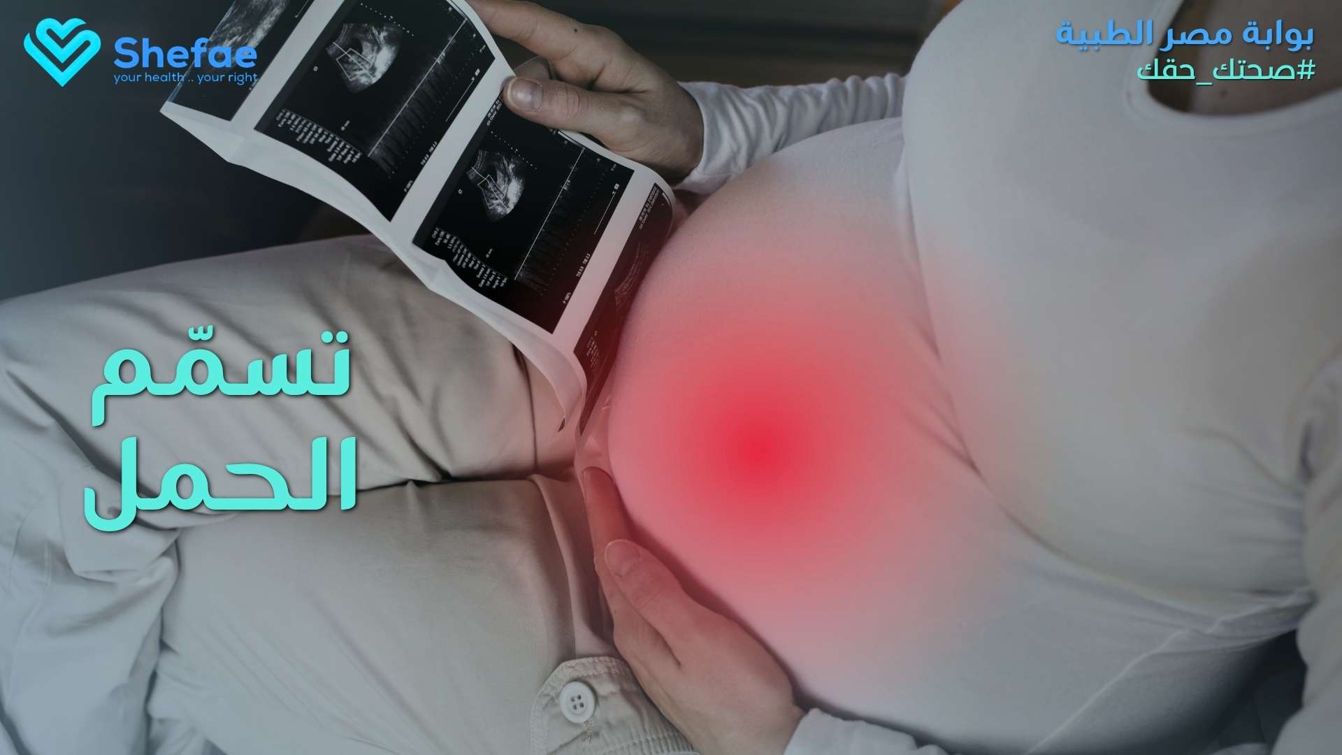 blogs tailwind section