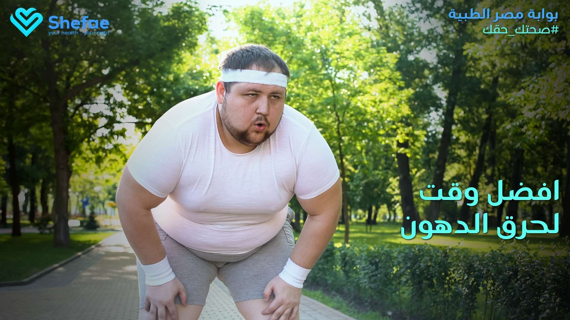 blogs tailwind section