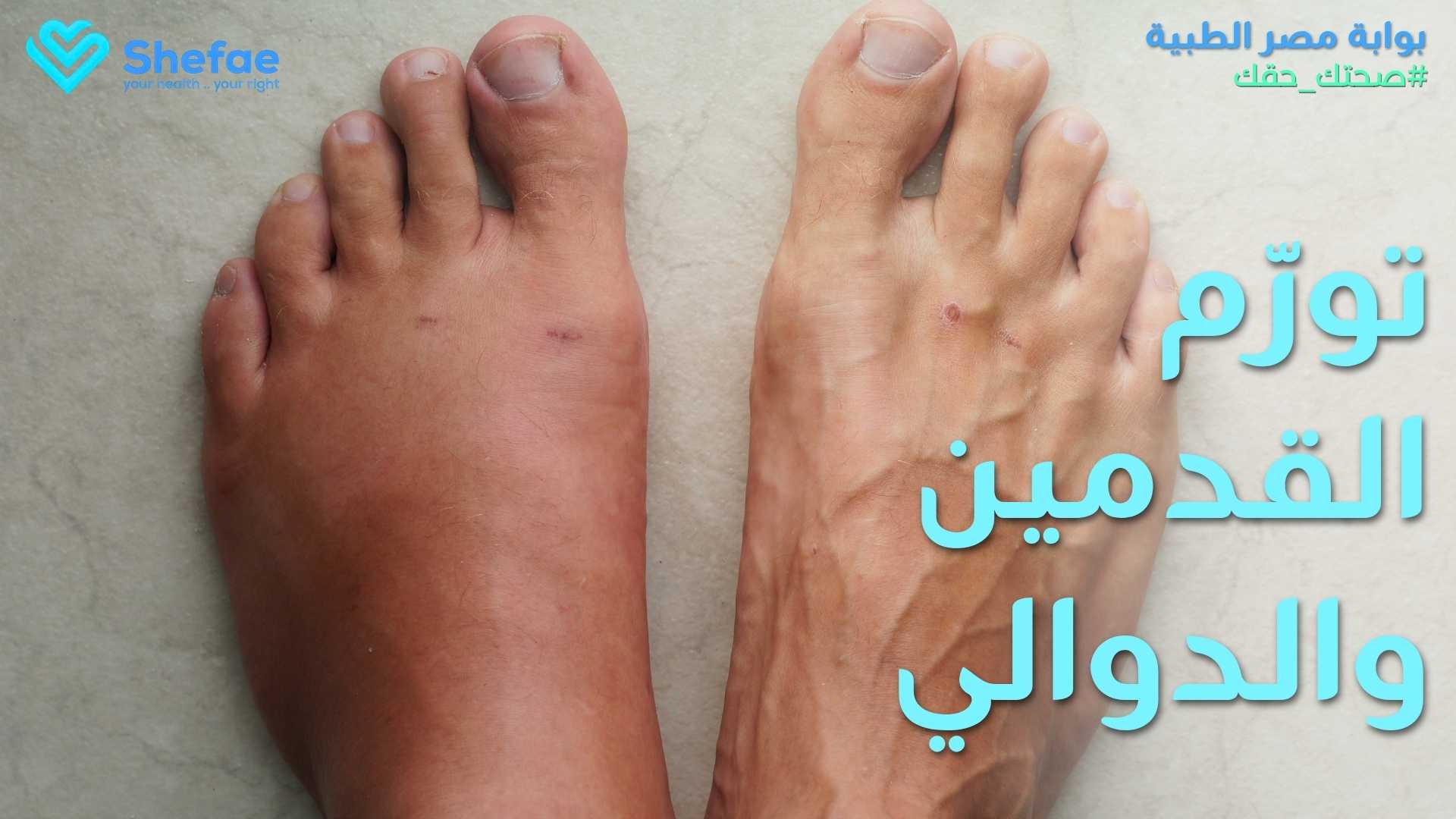 blogs tailwind section