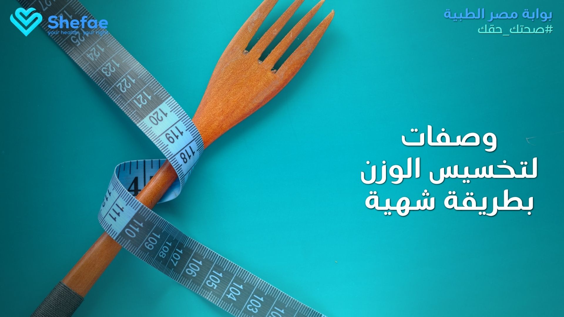 blogs tailwind section