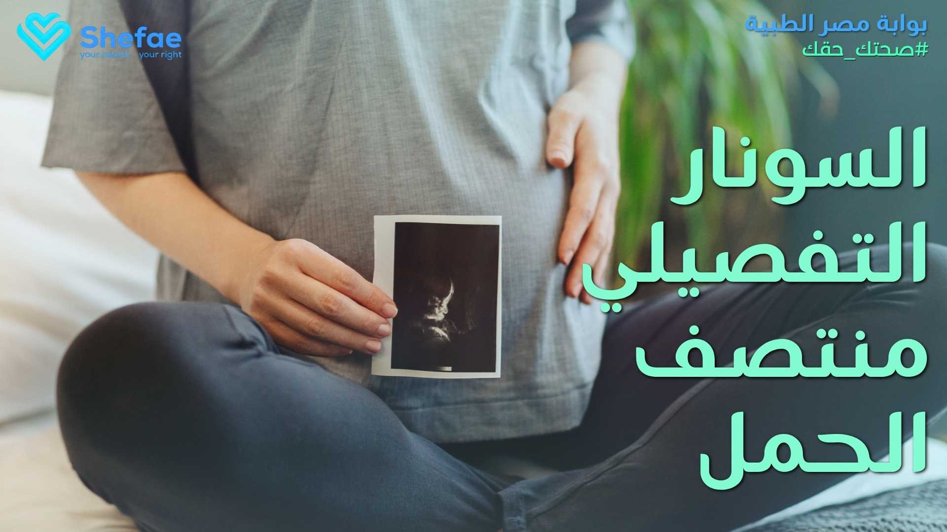 blogs tailwind section