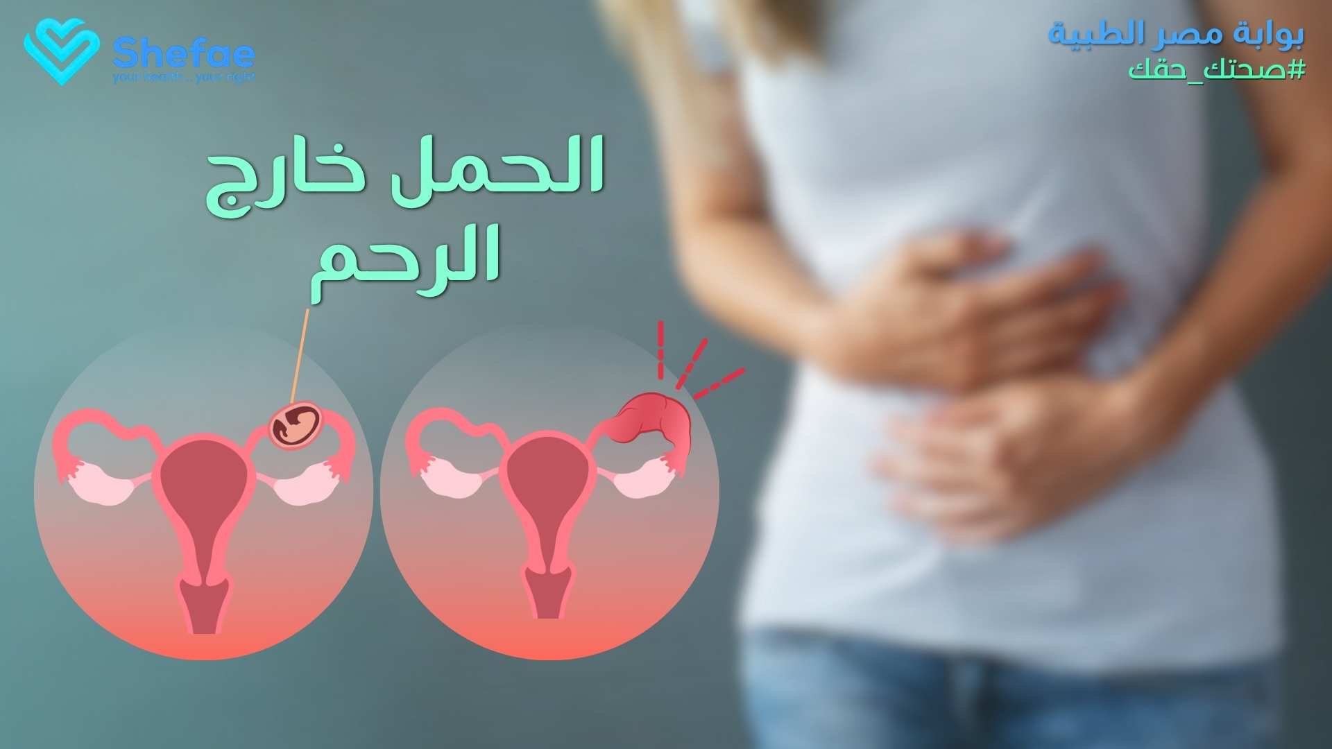 blogs tailwind section