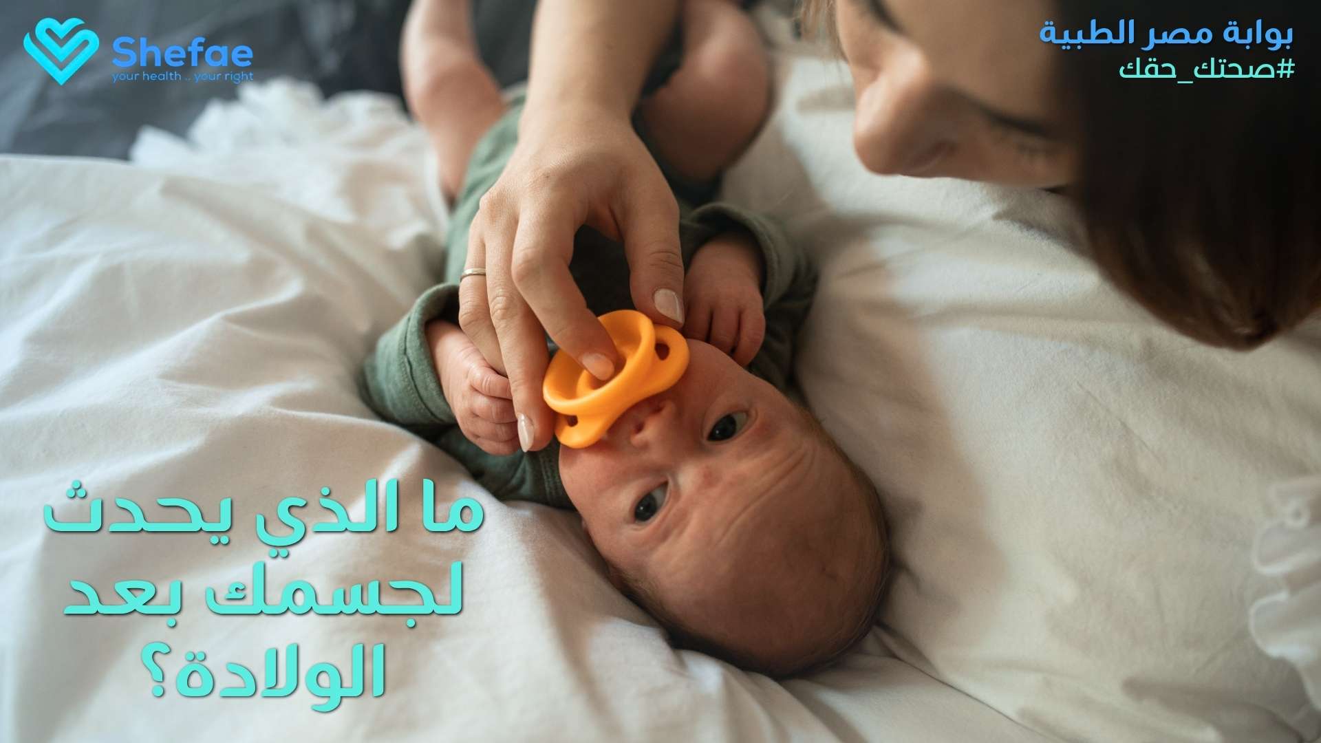 blogs tailwind section