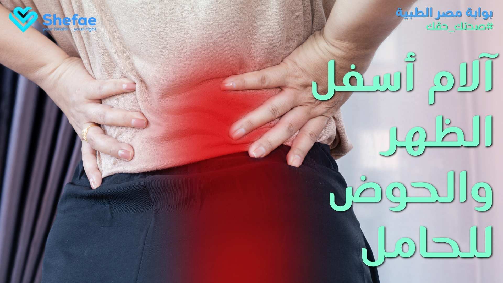 blogs tailwind section