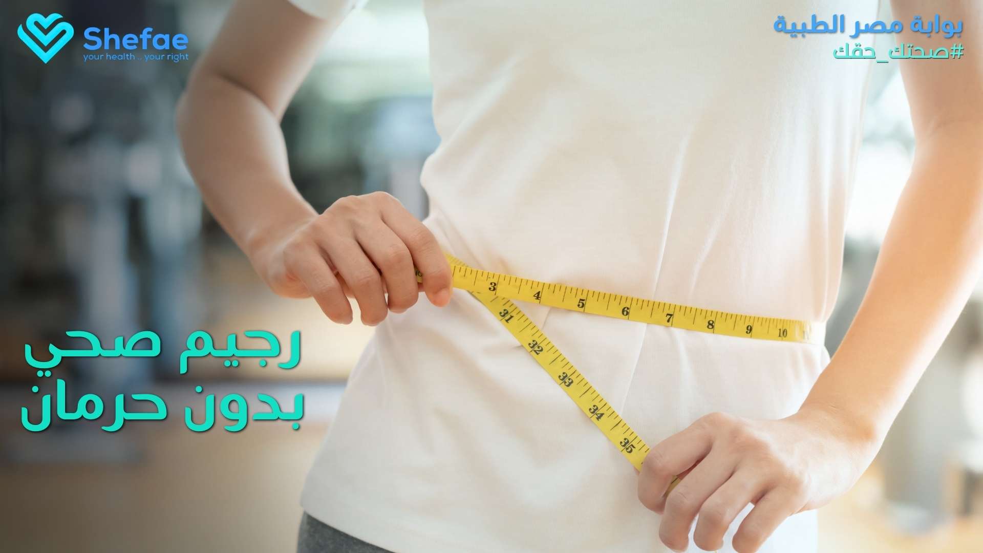 blogs tailwind section