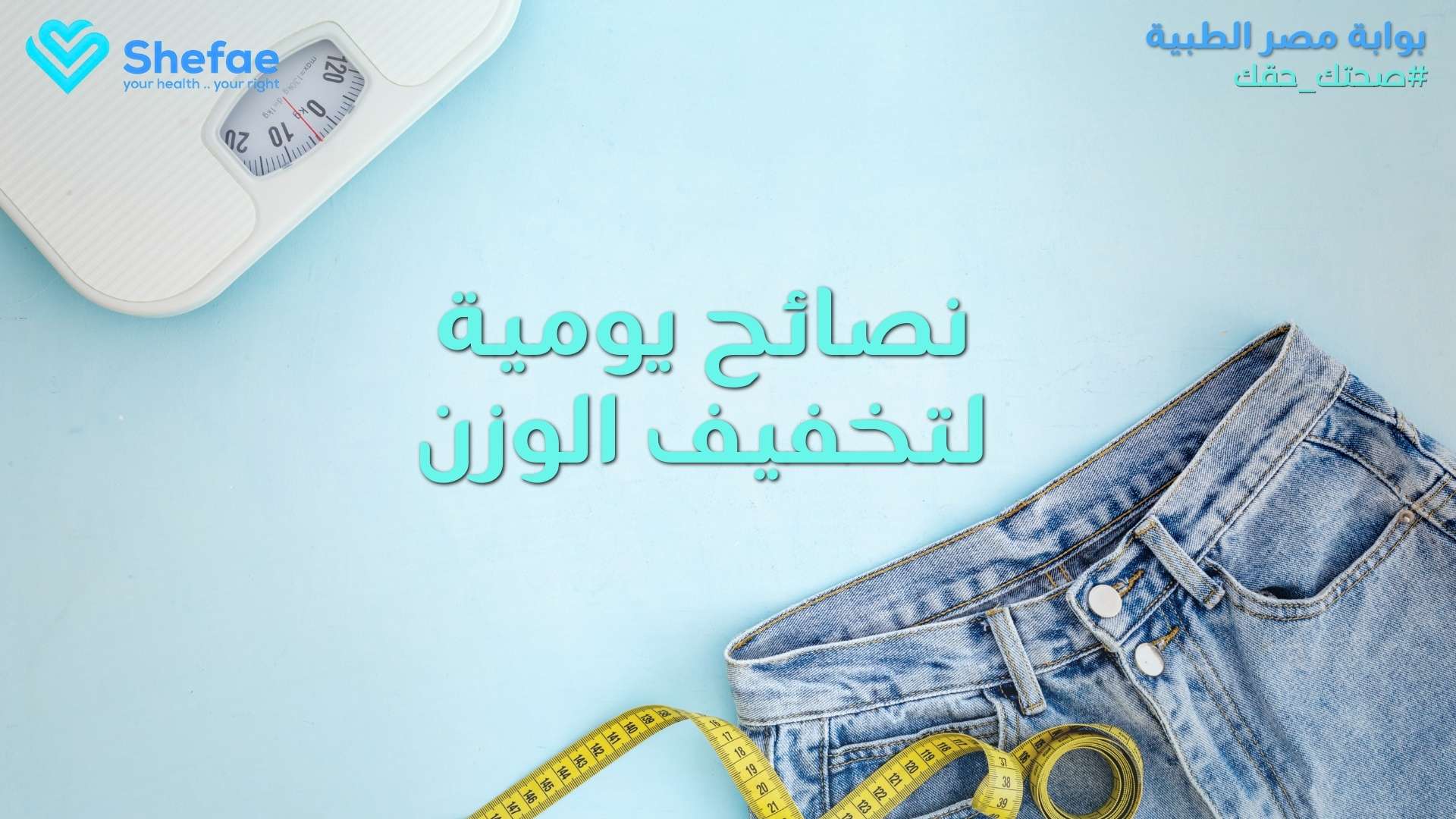 blogs tailwind section