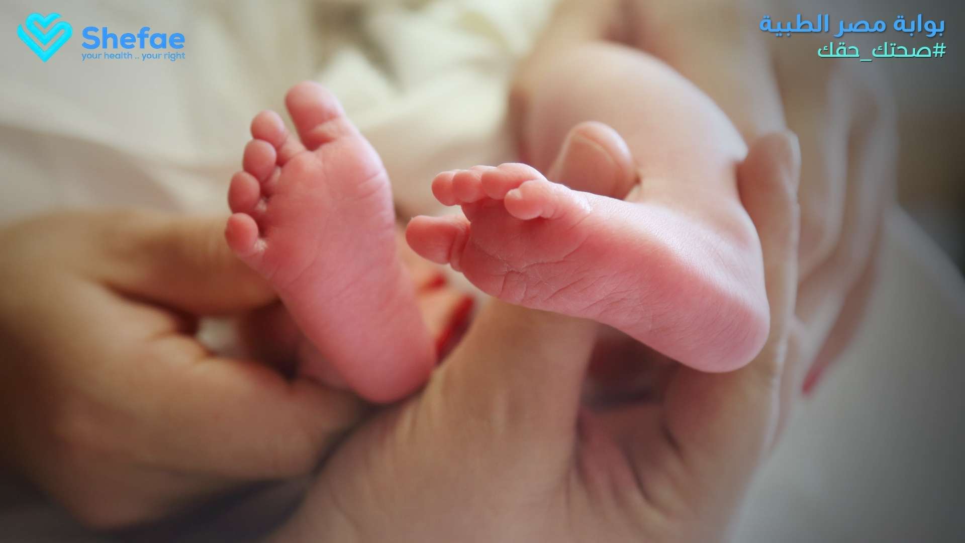 blogs tailwind section