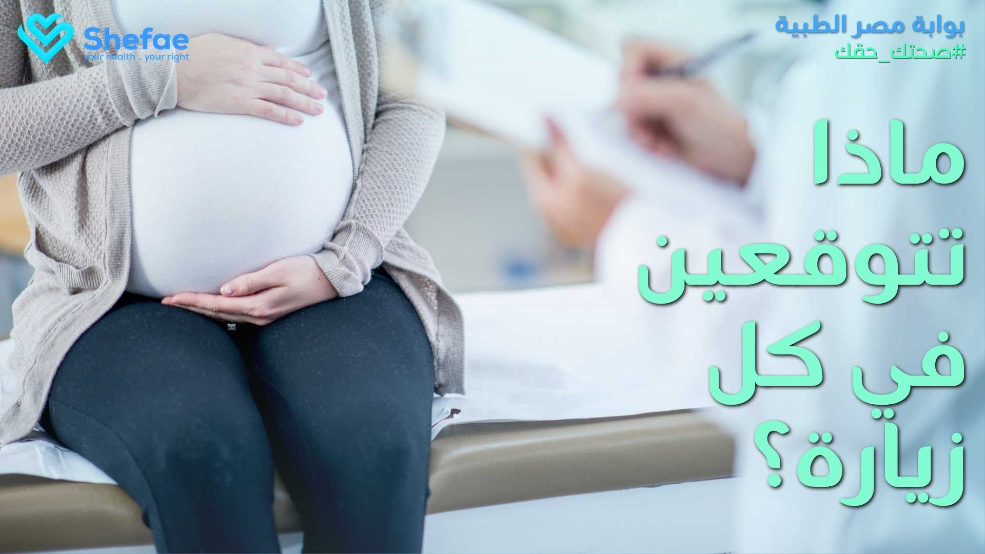 blogs tailwind section