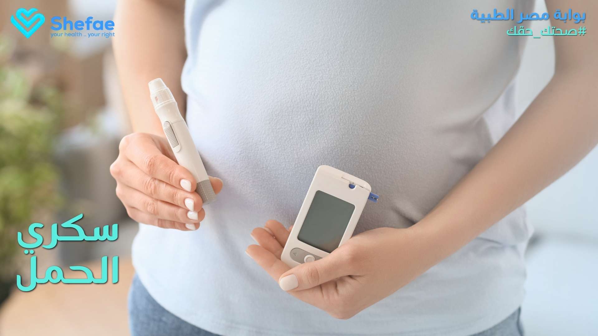 blogs tailwind section