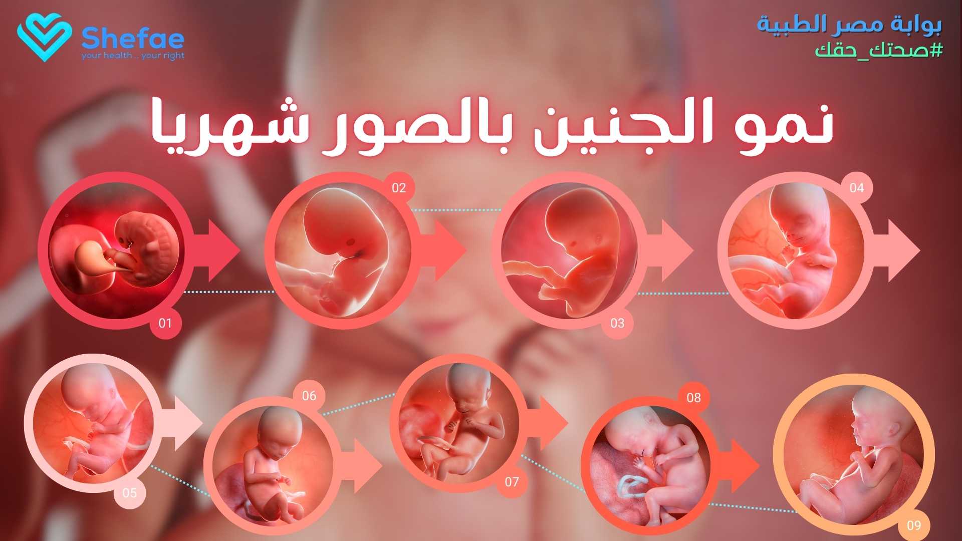 blogs tailwind section