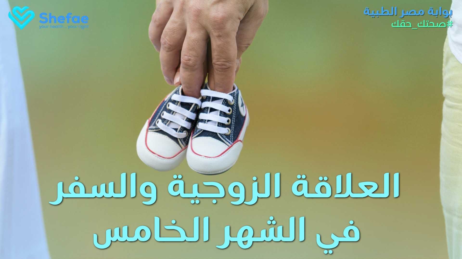 blogs tailwind section