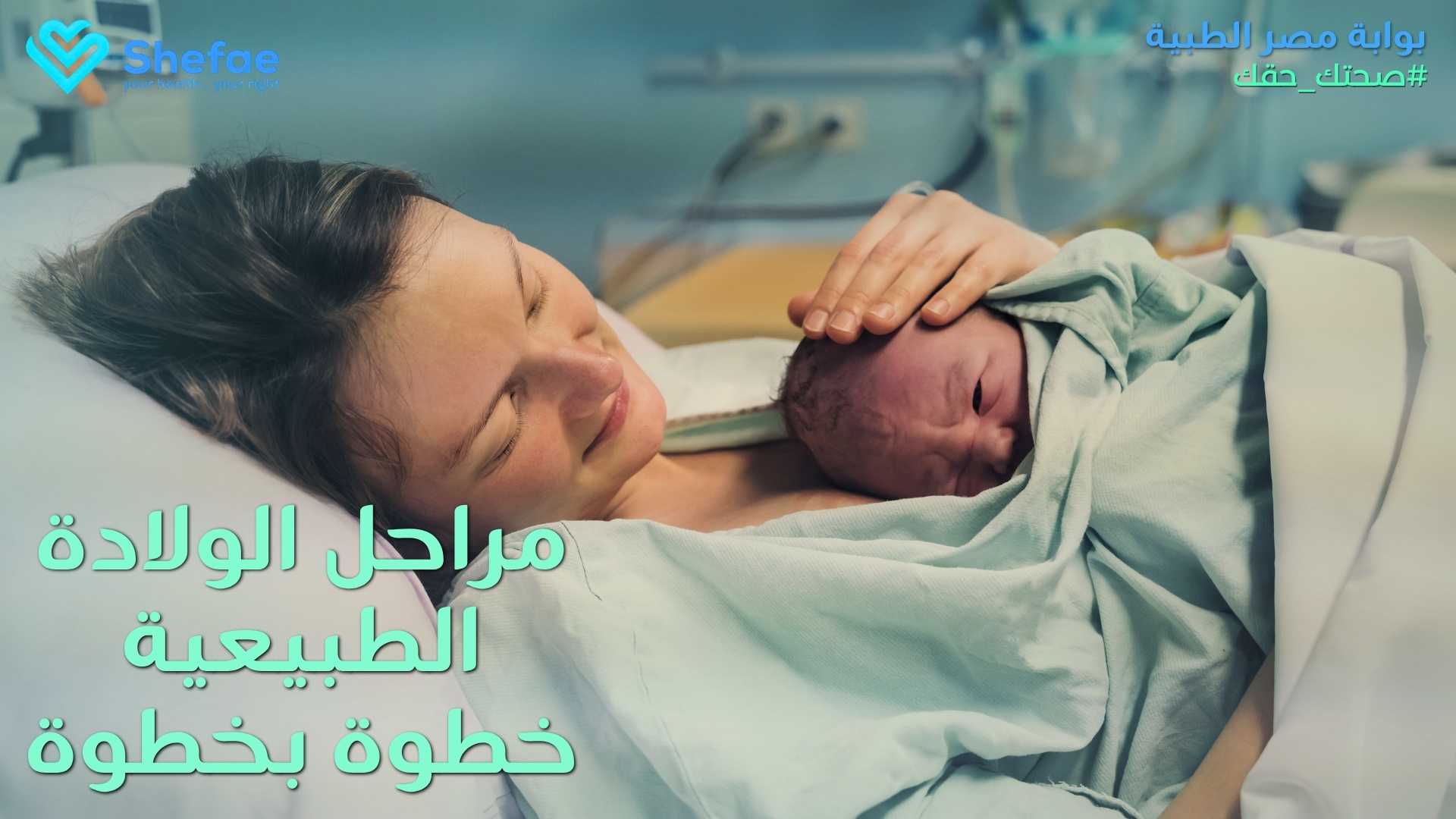 blogs tailwind section