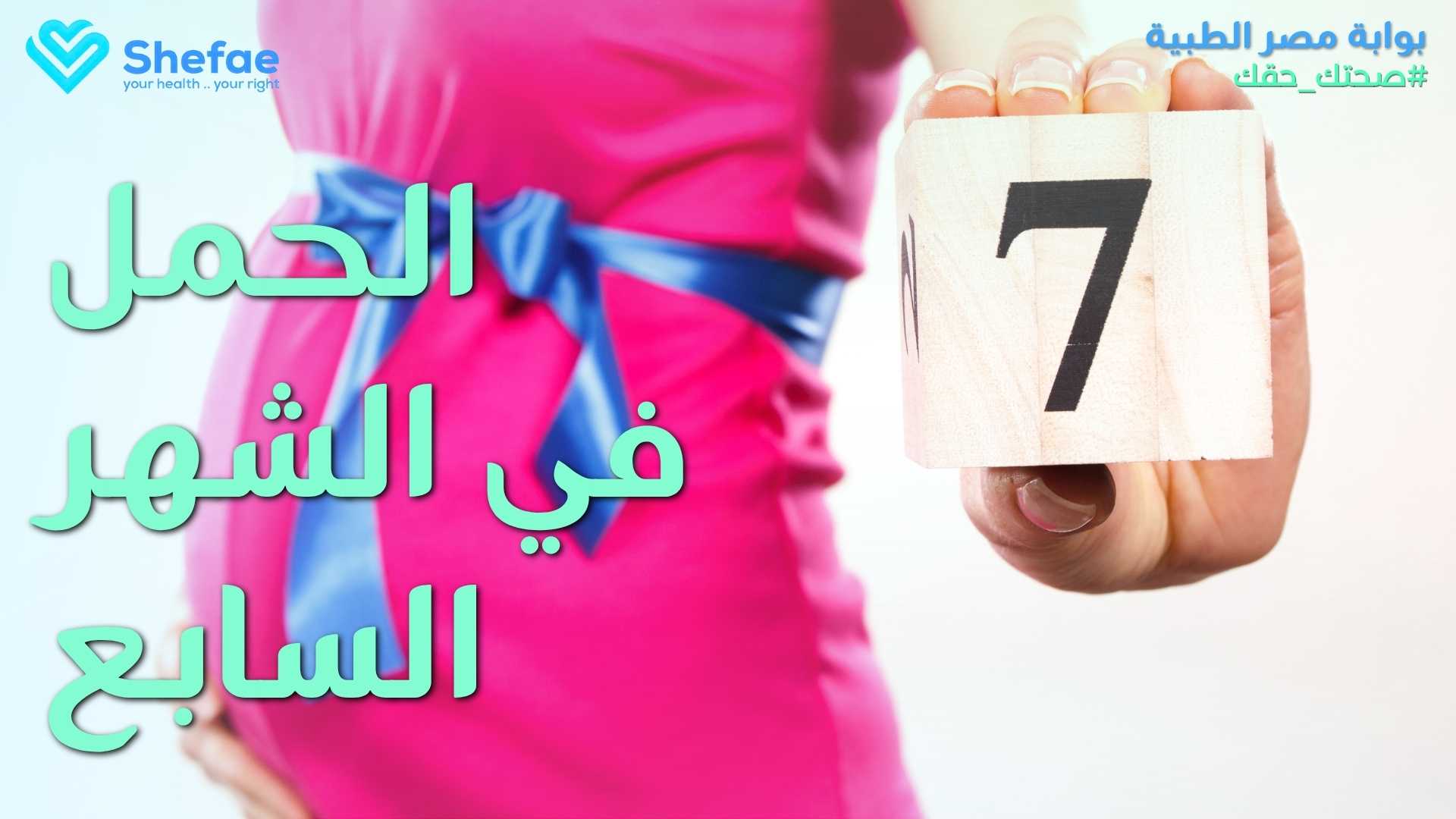 blogs tailwind section