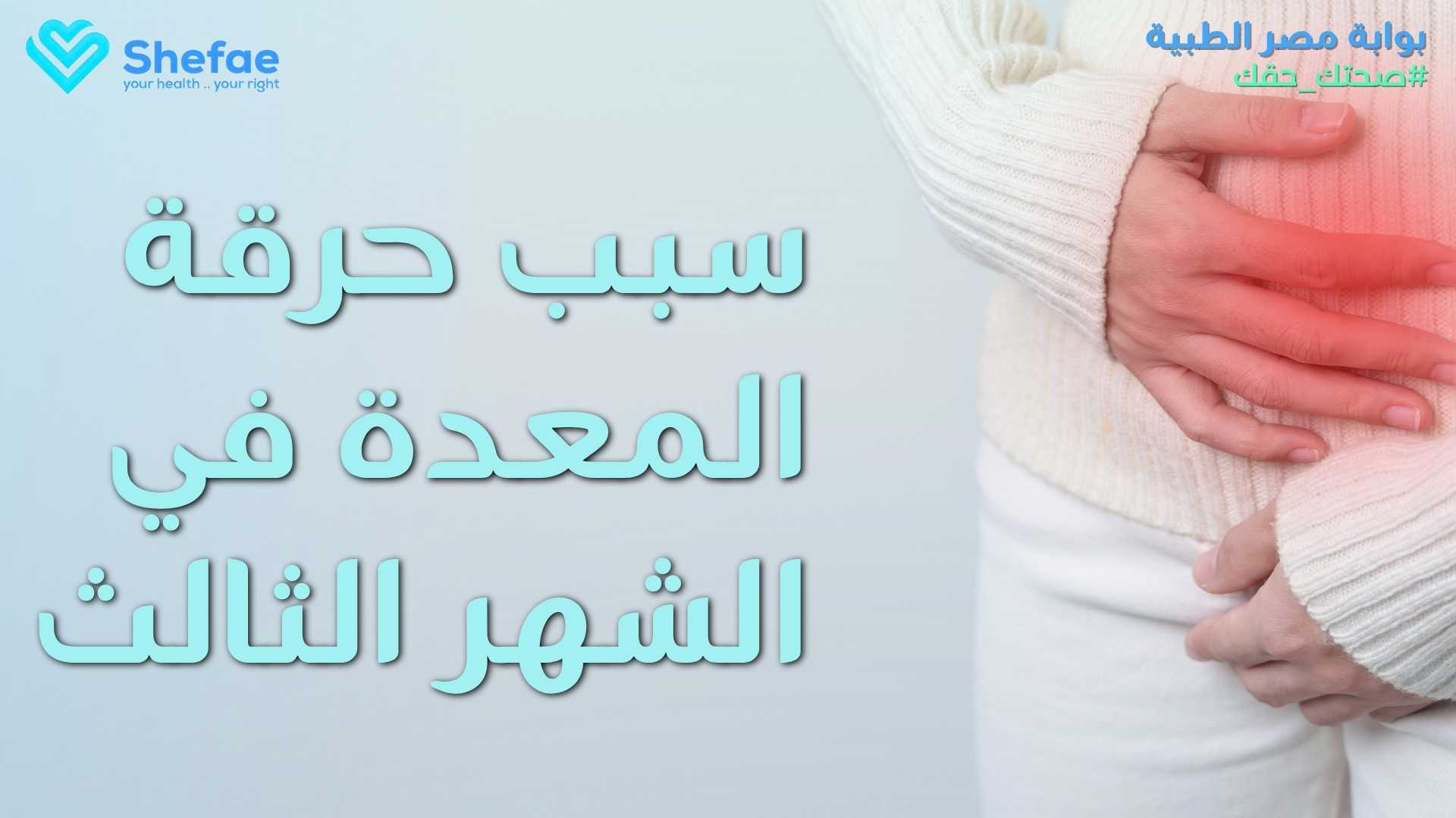 blogs tailwind section