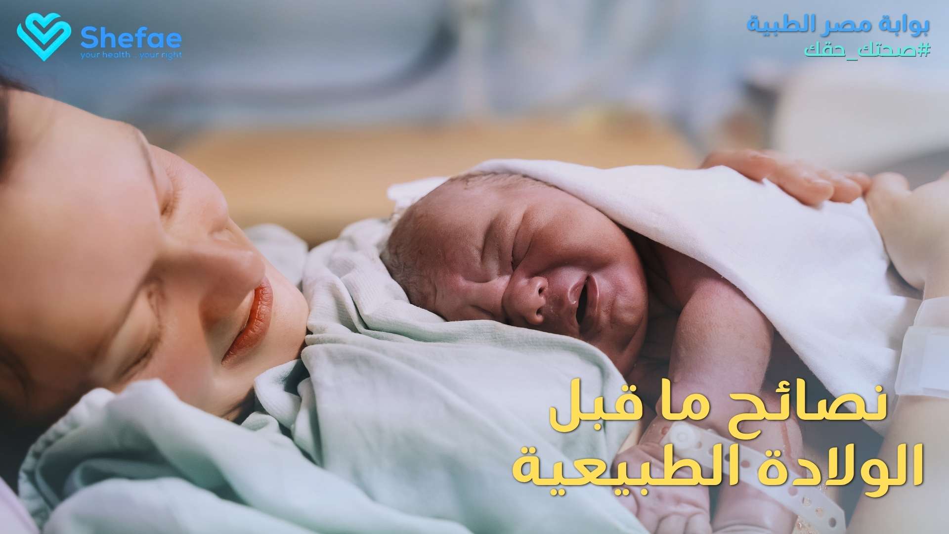 blogs tailwind section