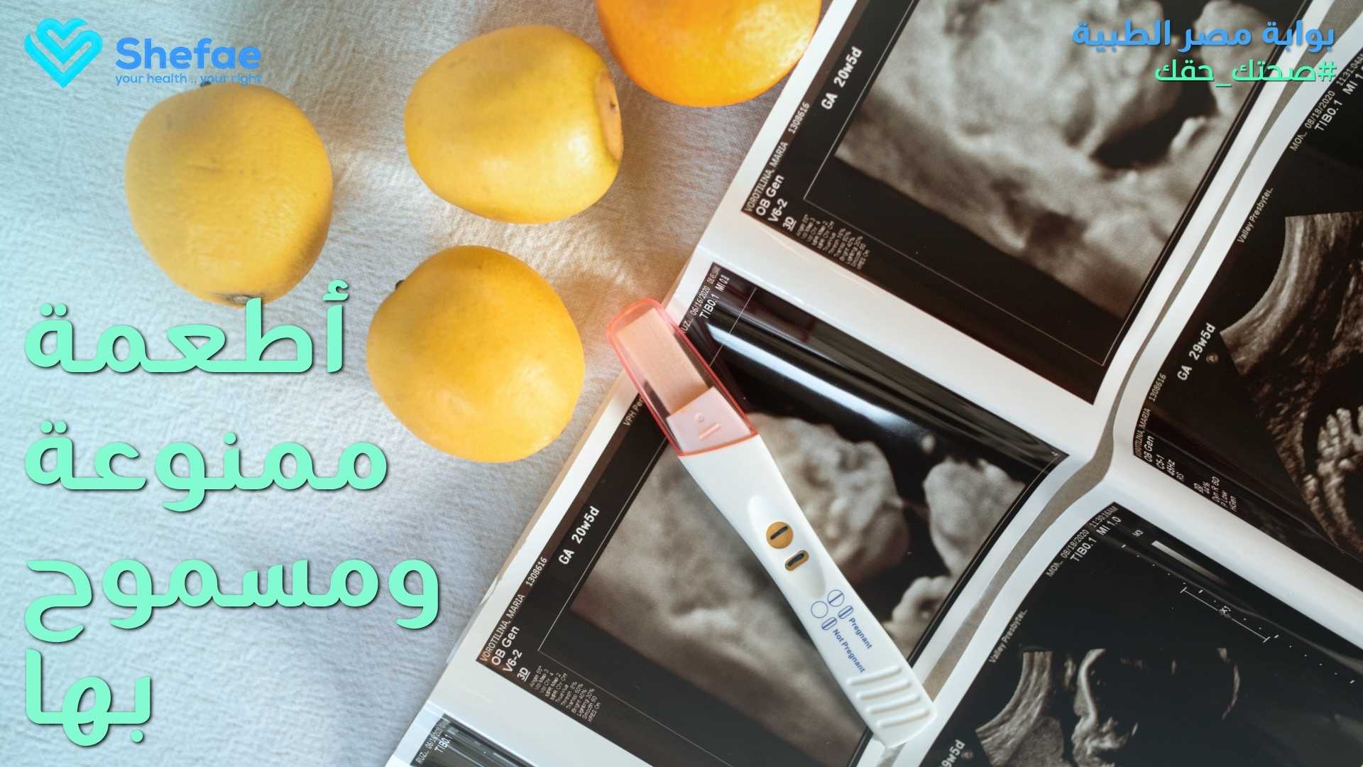 blogs tailwind section