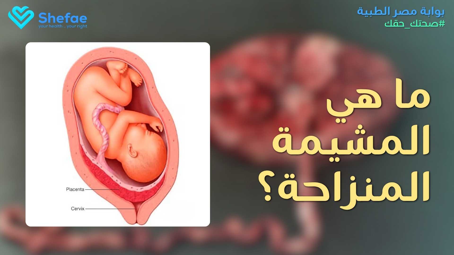 blogs tailwind section