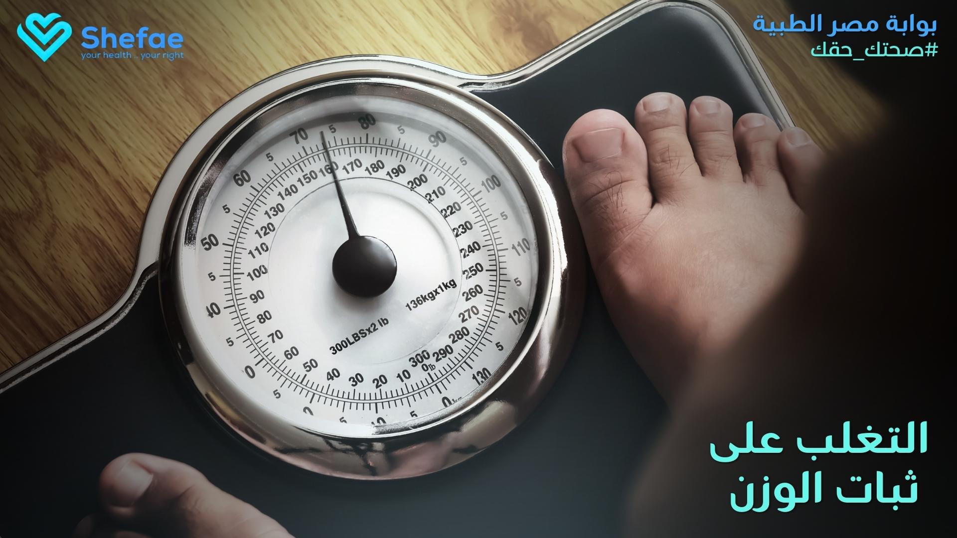 blogs tailwind section