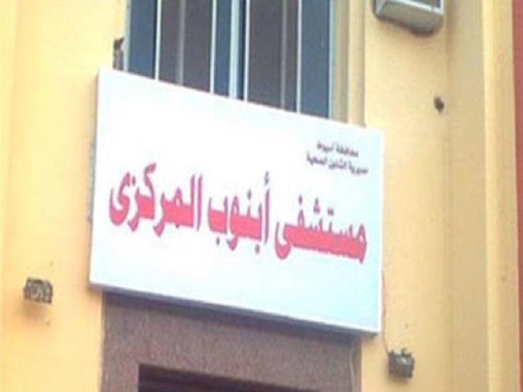 Abnoub Central Hospital