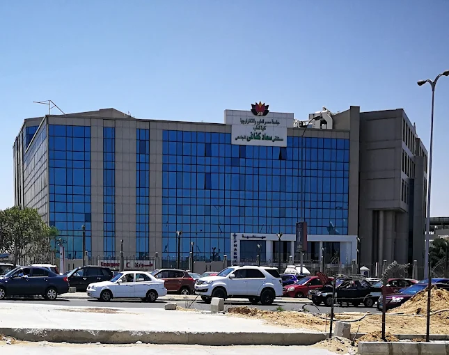 Misr University for Science and Technology - Dr. Soad Kafafy