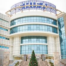 Shifa Specialized Hospital (Egypt Well Care Company)