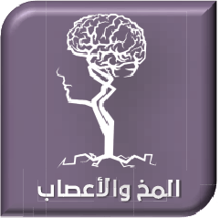 site.Doctor عالية حسن سيد محمود  - Specialist in 