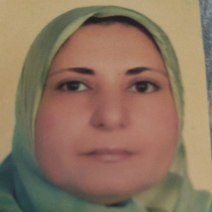 ميساء احمد فوزى حسين فهمى